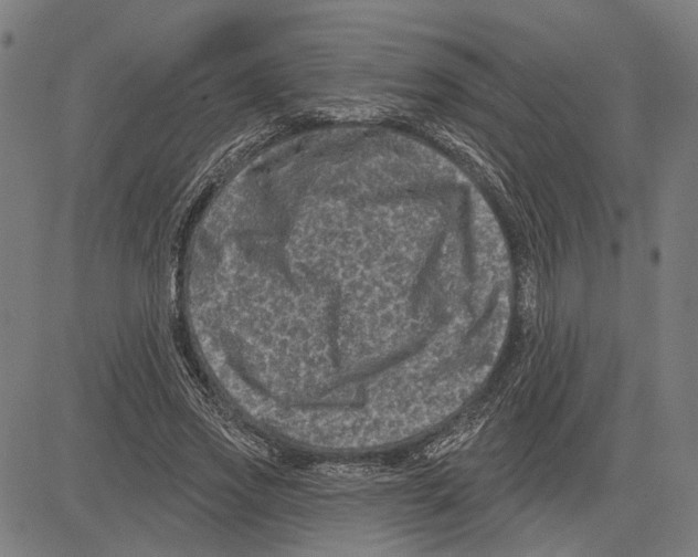 X0000083650733200703121745