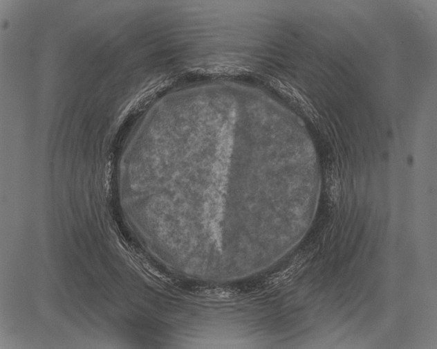 X0000083650735200703121745