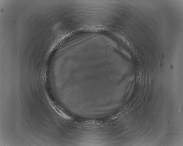 X0000083650736200703121745