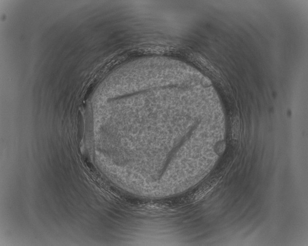 X0000083650737200703121745