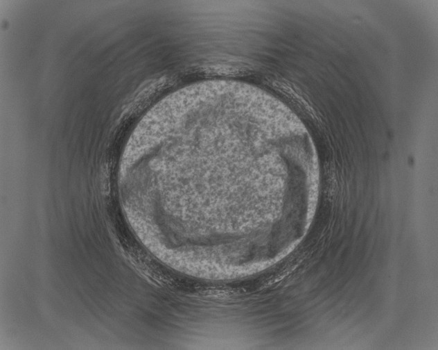 X0000083650738200703121745