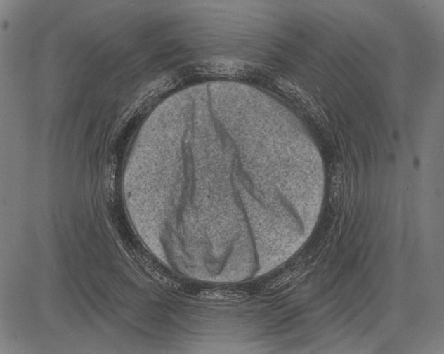 X0000083650739200703121745