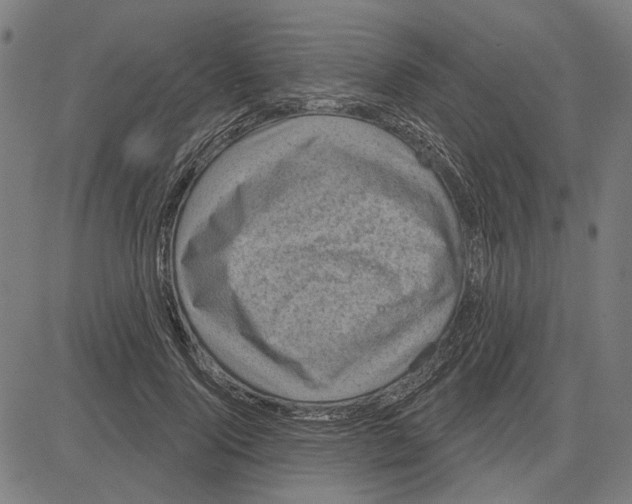 X0000083650740200703121745