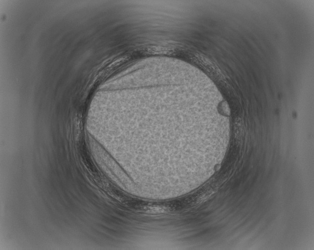 X0000083650741200703121745