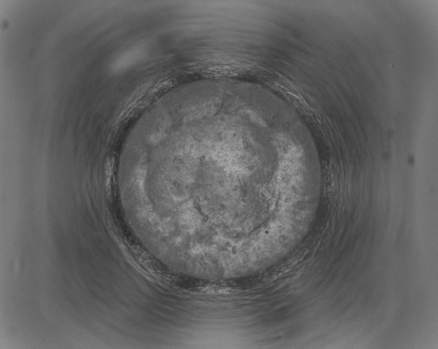 X0000083650742200703121745