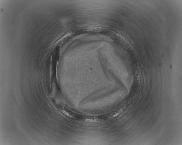 X0000083650744200703121745