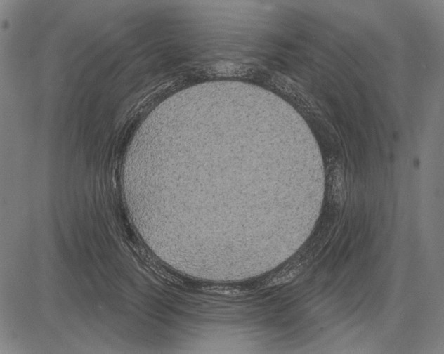 X0000083650746200703121745