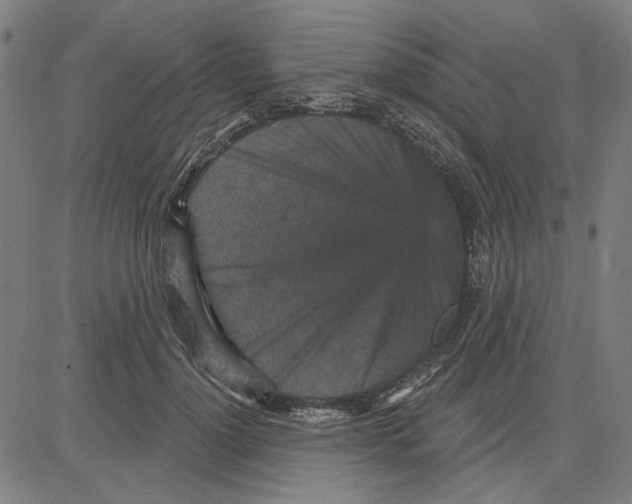 X0000083650748200703121745