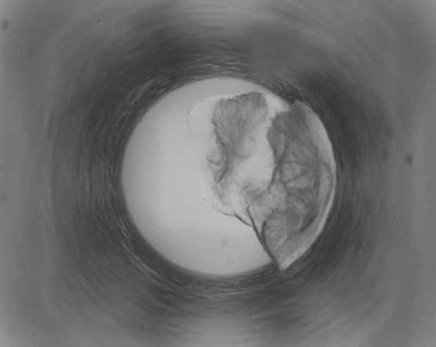 X0000083650749200703121745