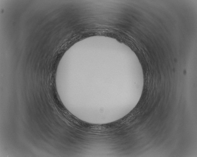 X0000083650750200703121745