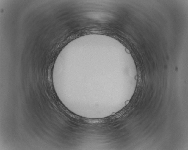 X0000083650751200703121745