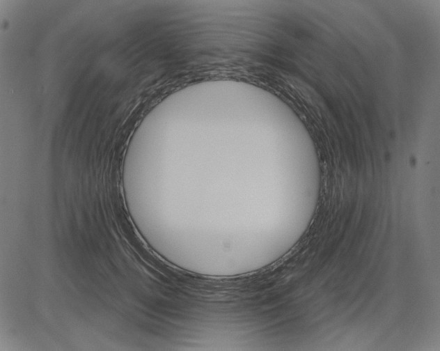 X0000083650752200703121745