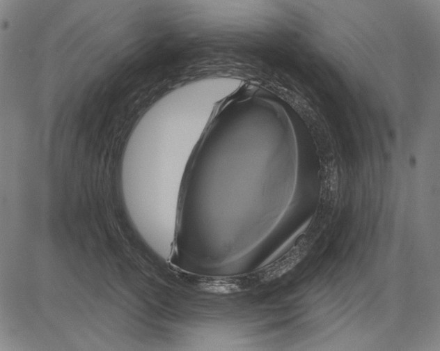 X0000083650754200703121745