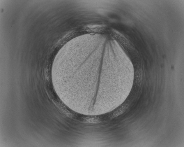 X0000083650755200703121745