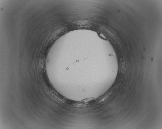 X0000083650756200703121745