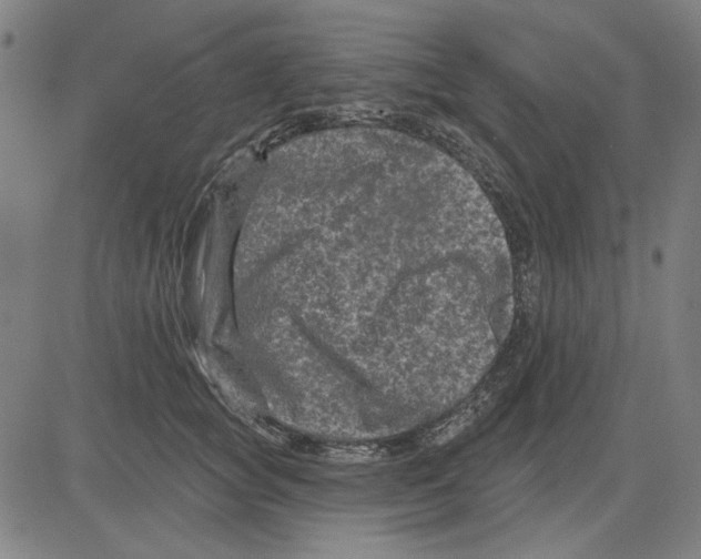 X0000083650757200703121745