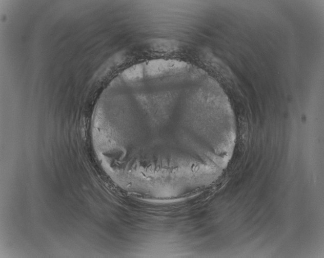 X0000083650758200703121745