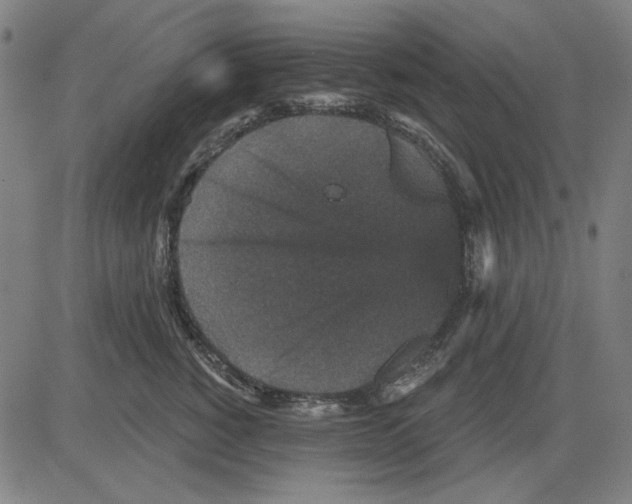 X0000083650760200703121745