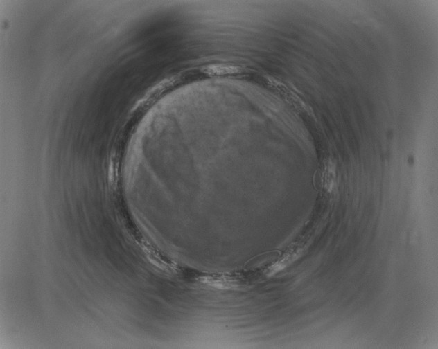 X0000083650763200703121745