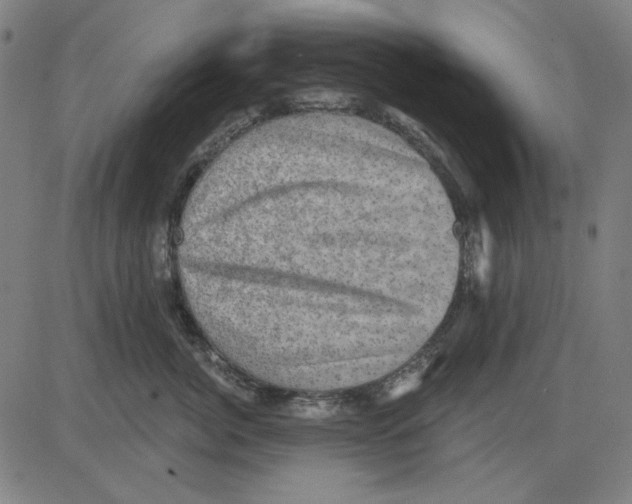 X0000083650764200703121745