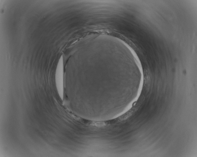 X0000083650767200703121745