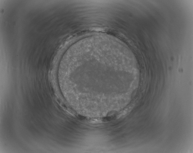 X0000083650768200703121745