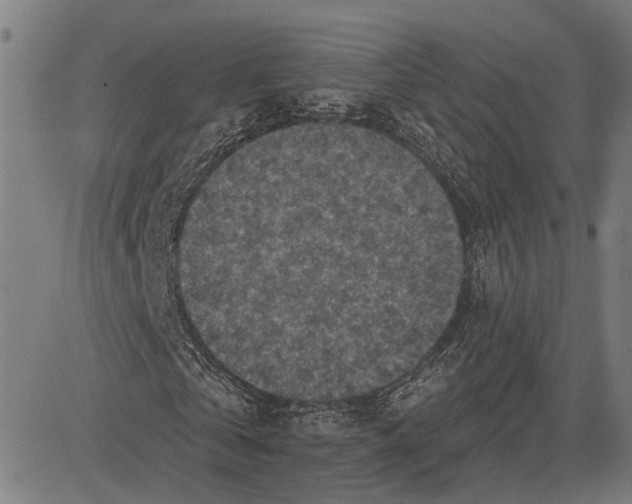 X0000083650769200703121744