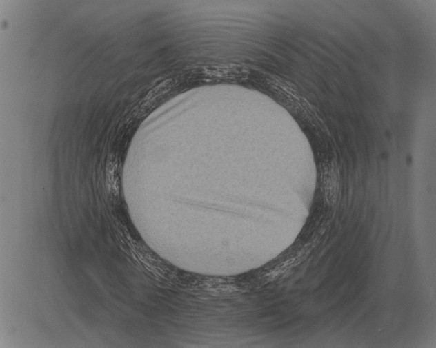 X0000083650770200703121744