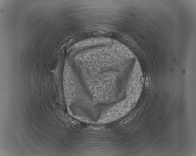 X0000083650771200703121744