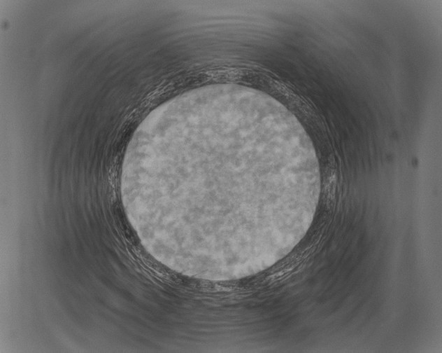 X0000083650772200703121744