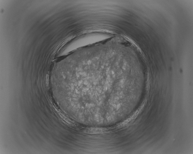 X0000083650777200703121744