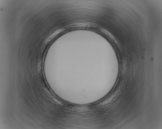 X0000083650778200703121744