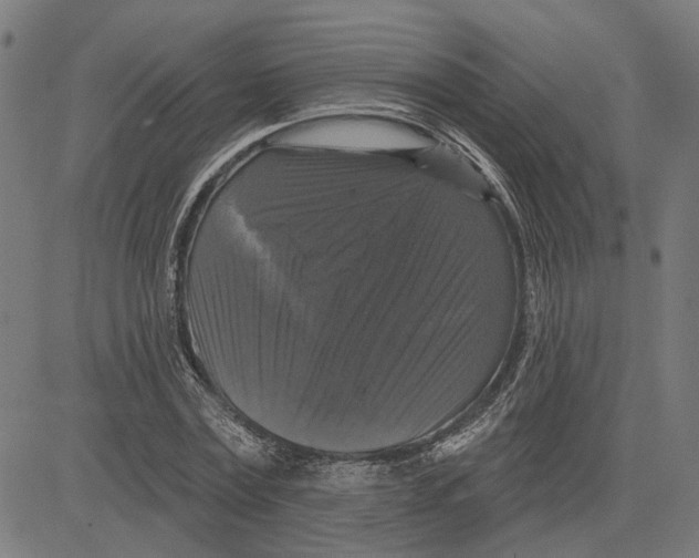 X0000083650779200703121744