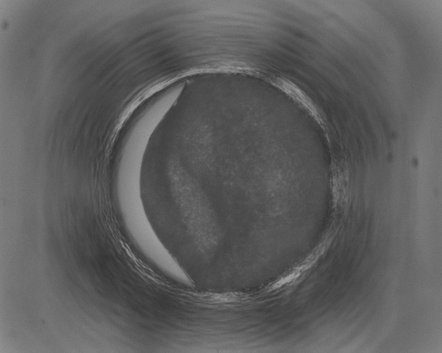 X0000083650781200703121744