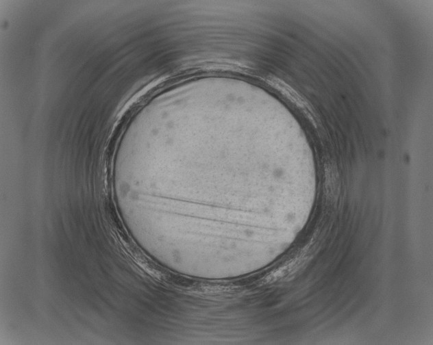 X0000083650782200703121744