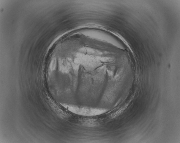 X0000083650783200703121744