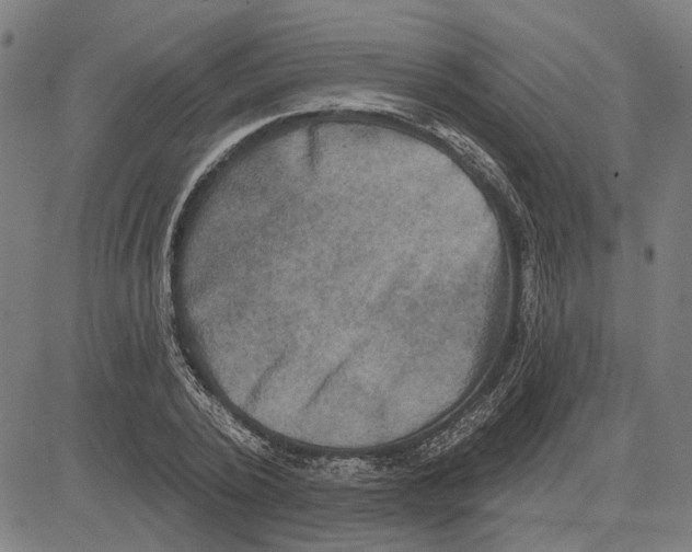 X0000083650784200703121744