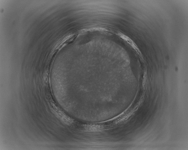 X0000083650785200703121744