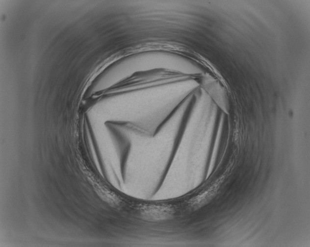 X0000083650786200703121744