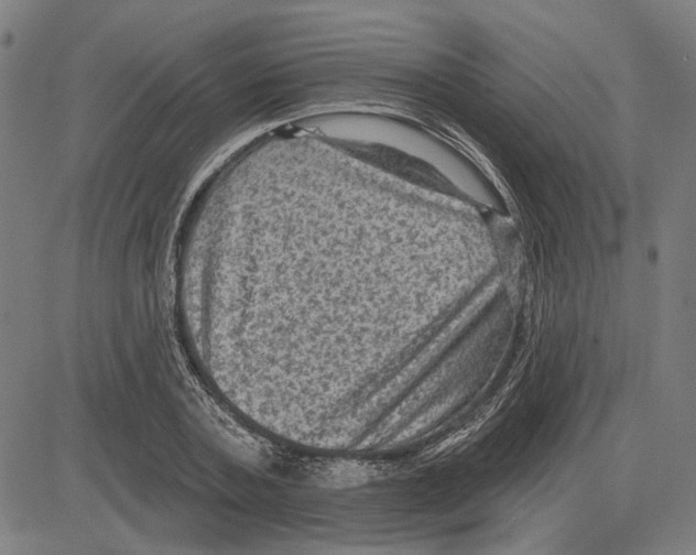 X0000083650787200703121744