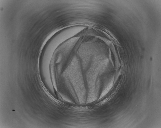 X0000083650788200703121744