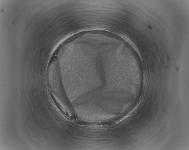 X0000083650789200703121744