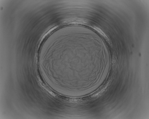 X0000083650790200703121744