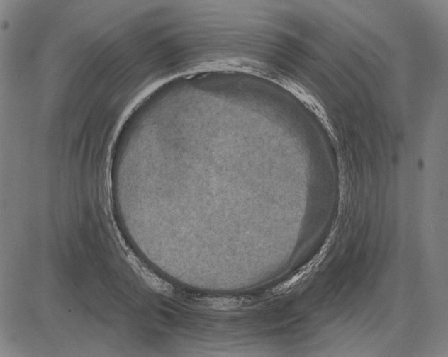 X0000083650792200703121744