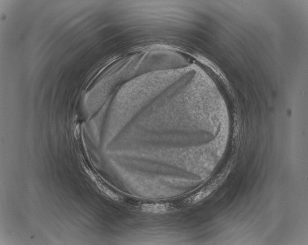 X0000083650793200703121744