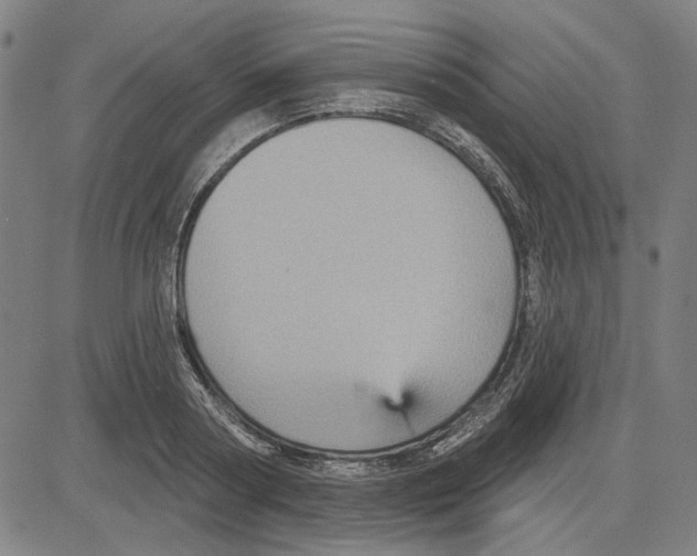 X0000083650794200703121744