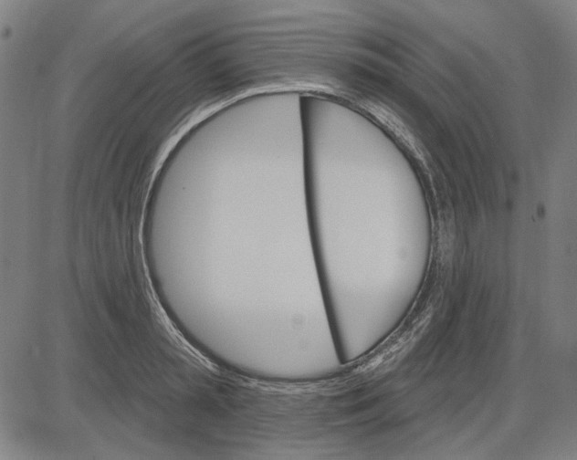 X0000083650797200703121744