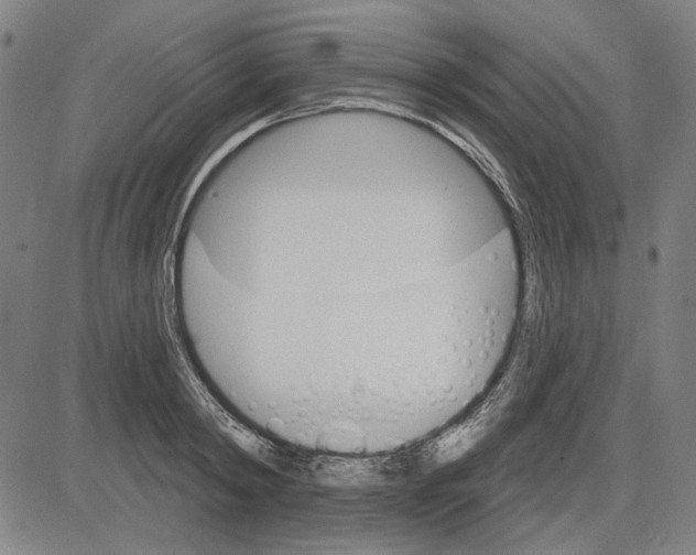 X0000083650798200703121744