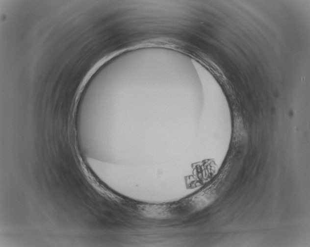 X0000083650800200703121744