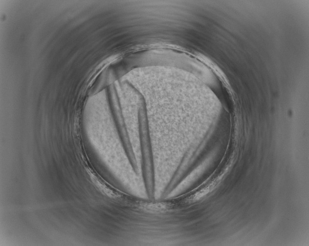 X0000083650801200703121744